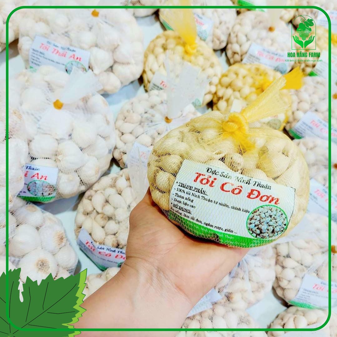 Tỏi Phan Rang nổi tiếng là thứ mà bạn sẽ dể dàng tìm thấy khi đến Vĩnh Hy