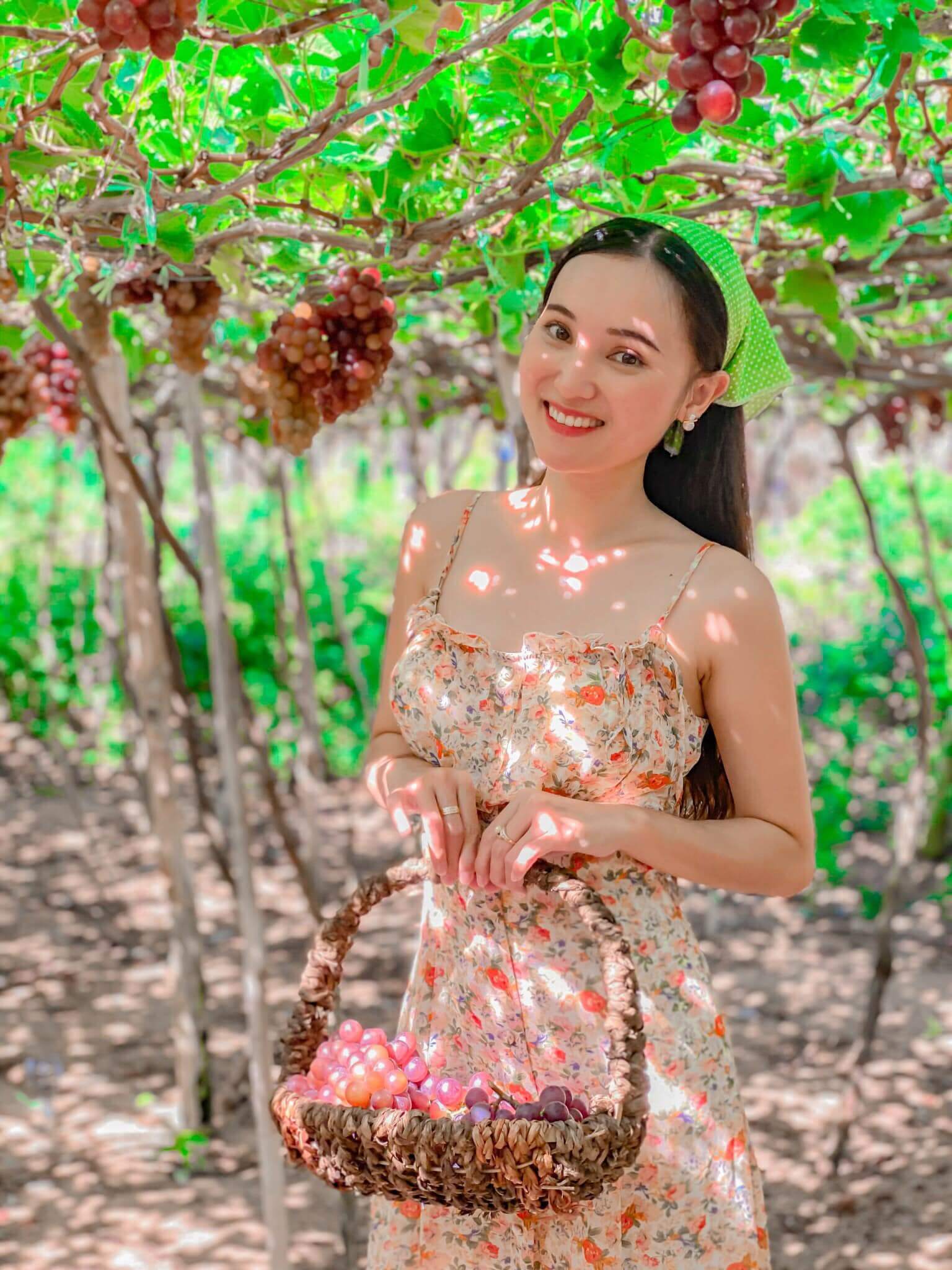 Đi du lịch Vĩnh Hy mà không đến làng nho Thái An thì thật là tiếc