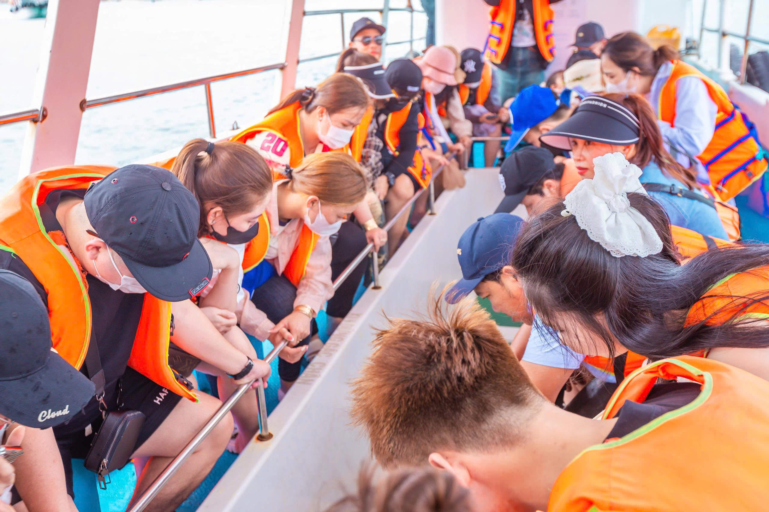 Trải nghiệm tham quan san hô ở vịnh Vĩnh Hy bằng tàu đáy kính