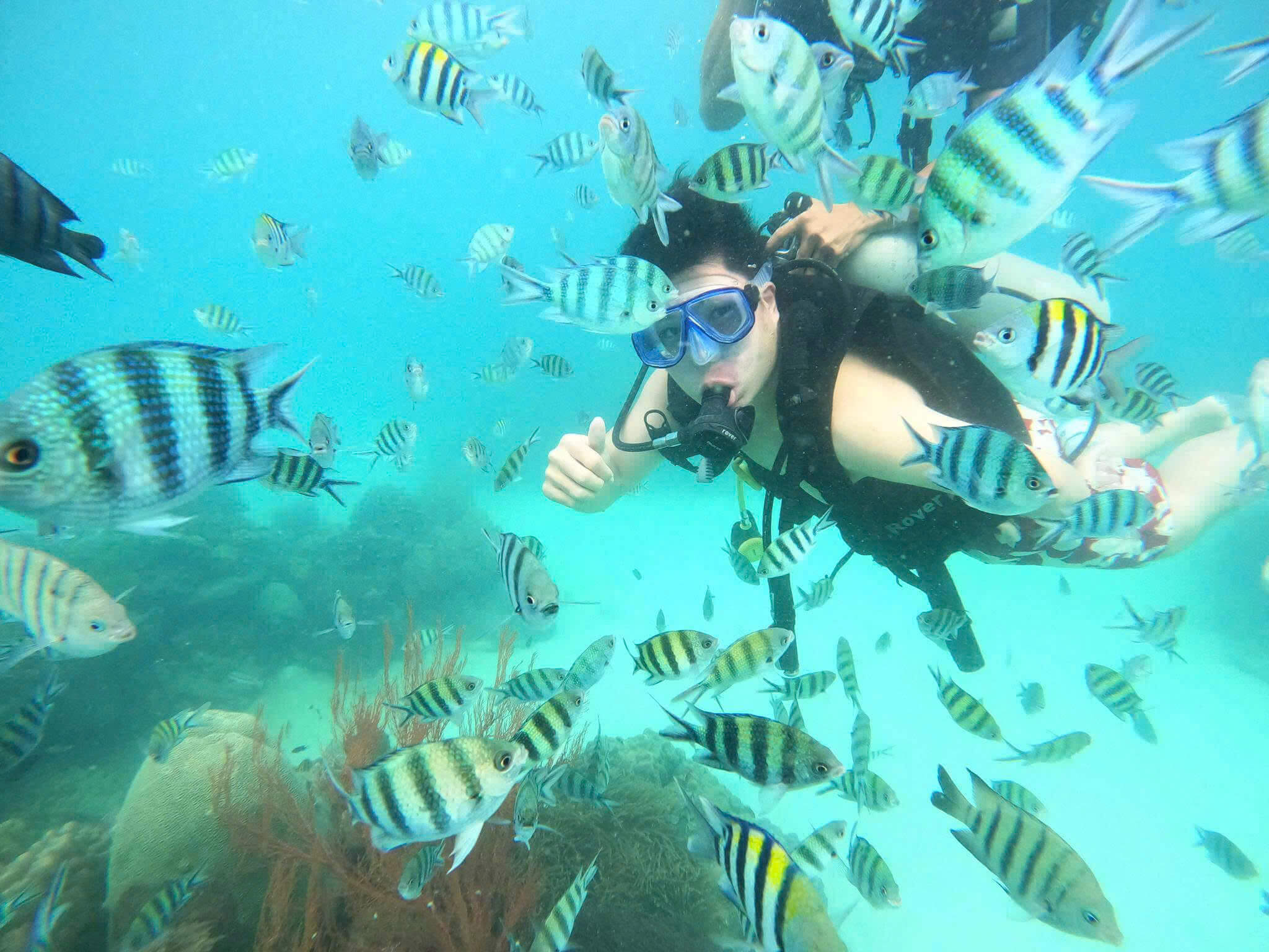 Lặn biển bằng bình khí (scuba diving) cũng rất được du khách lựa chọn