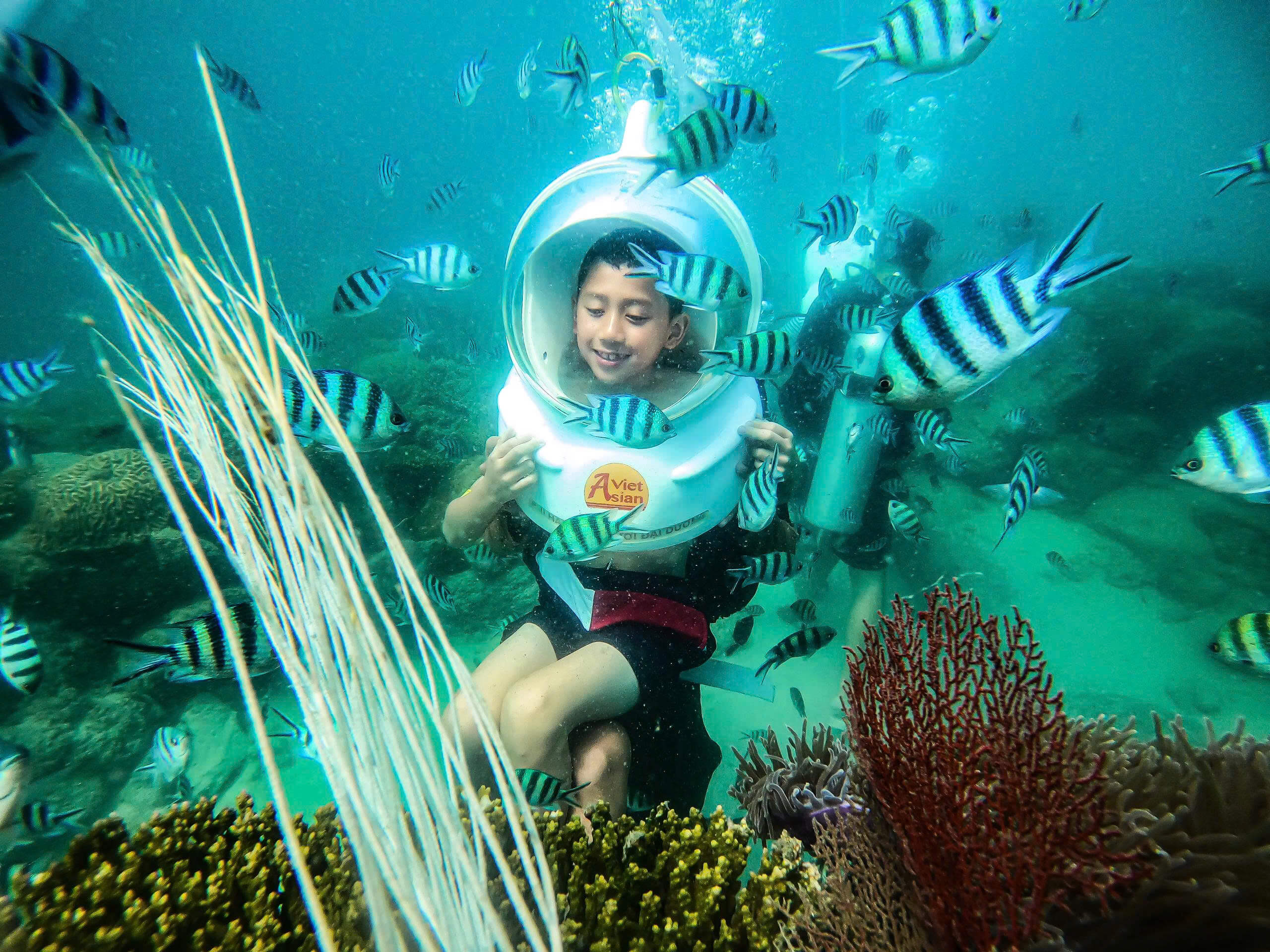 Hoạt động đi bộ dưới biển (seawalker) được rất nhiều du khách yêu thích