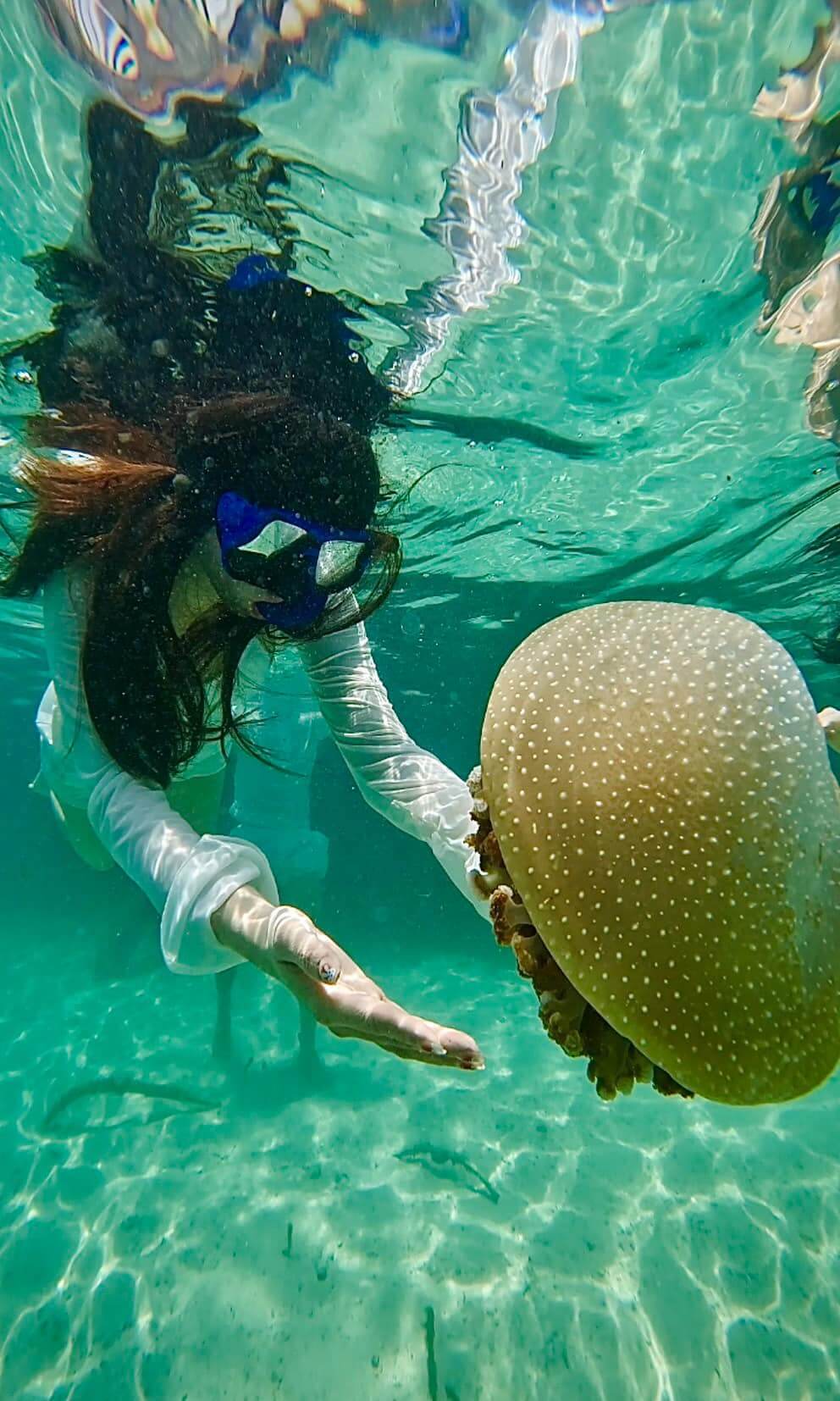 Nếu bạn đã có kinh nghiệm lặn thì đừng bỏ qua hoạt động lặn snorkeling nhé
