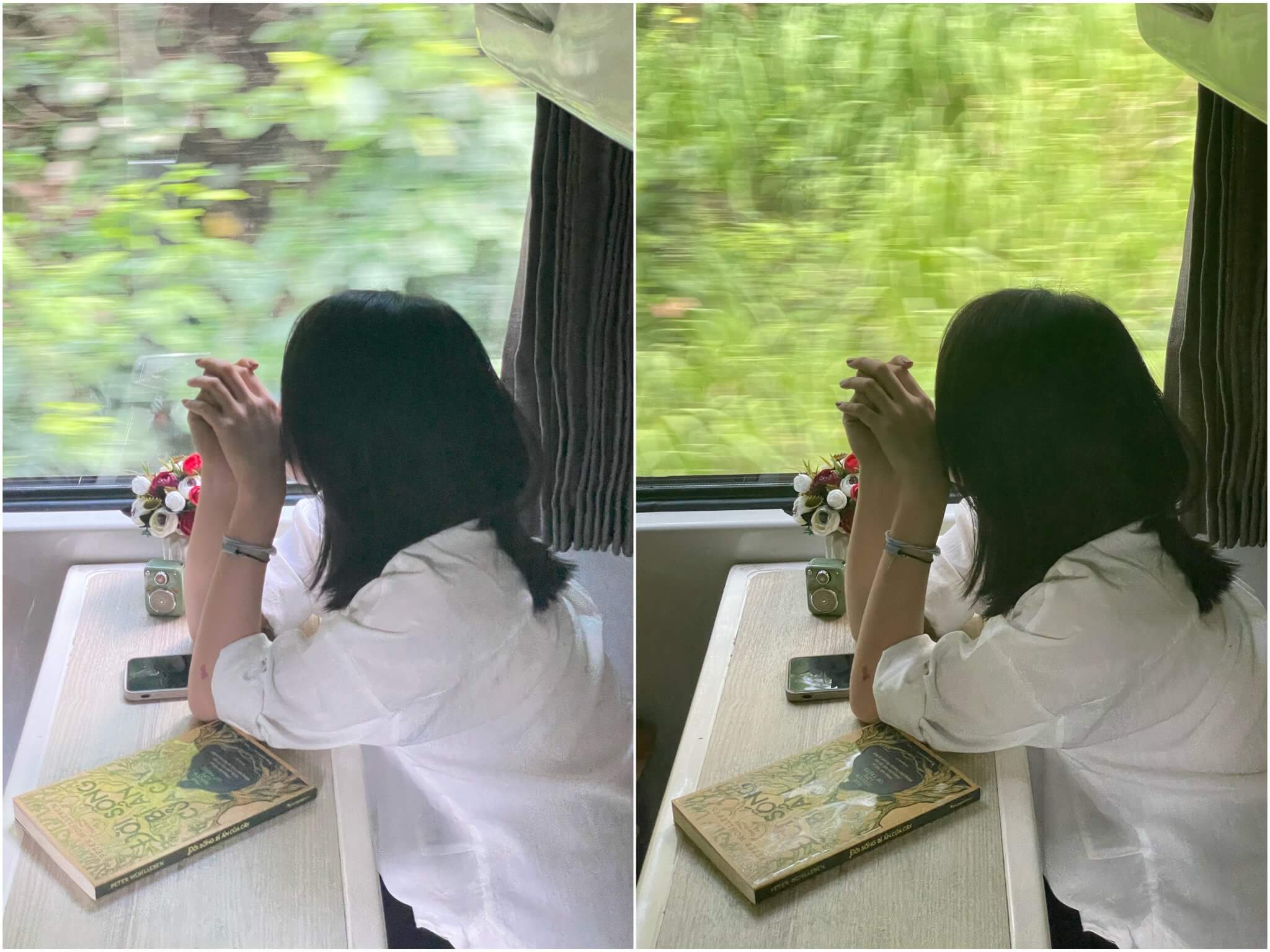 Với khoảng cách 350km bạn có thể tham khảo tàu hỏa cho chuyến du lịch Vĩnh Hy từ Sài Gòn