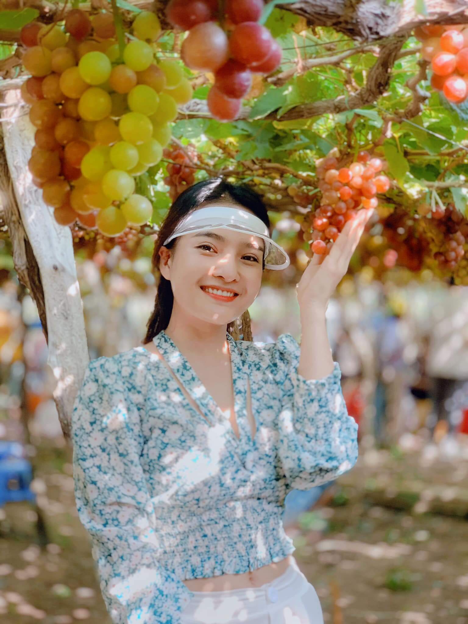 Trải nghiệm làng nho Thái An trong chuyến du lịch Sài Gòn Vĩnh Hy