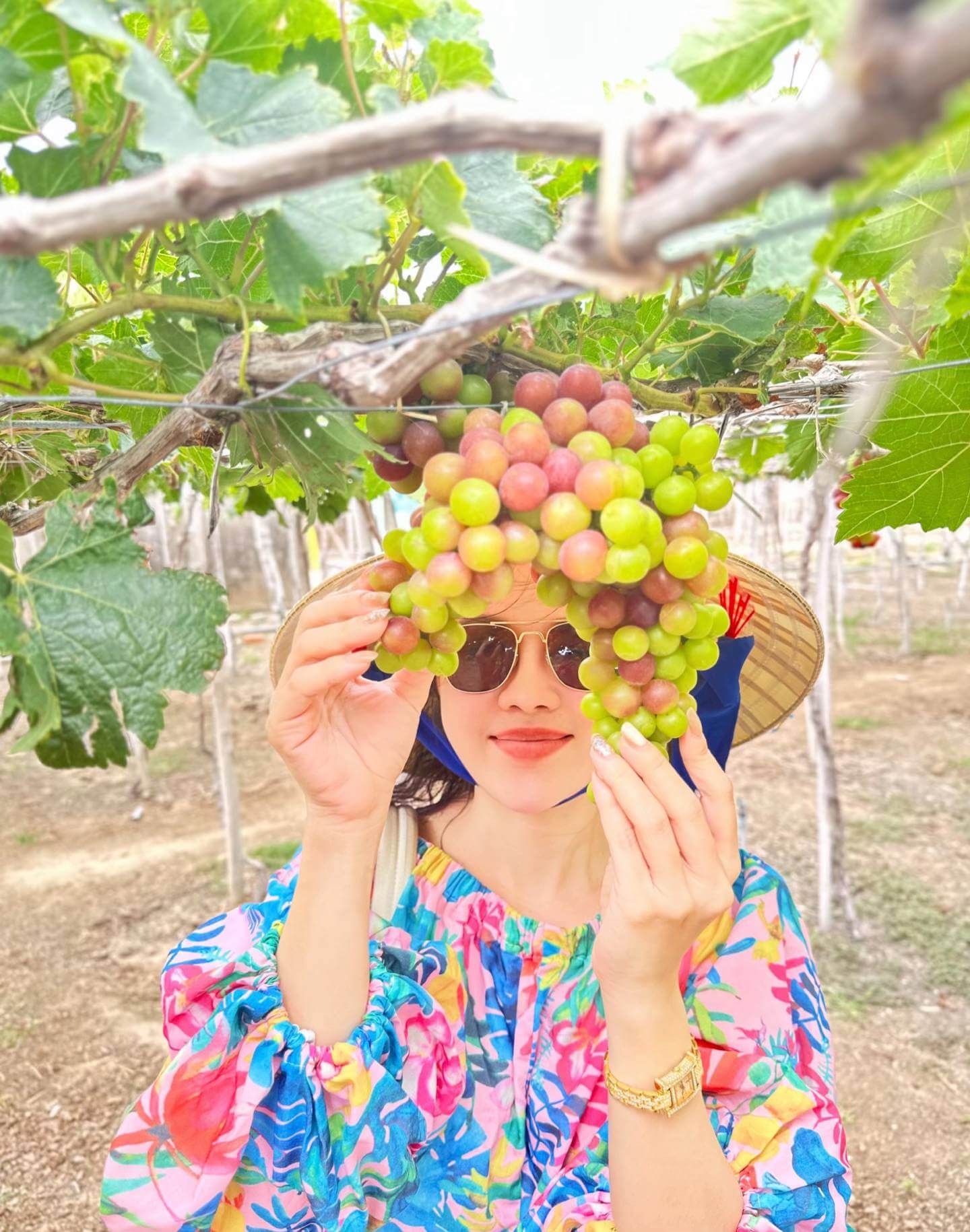 Tham quan trải nghiệm vườn nho trong lịch trình du lịch Vĩnh Hy 1 ngày từ Cam Ranh