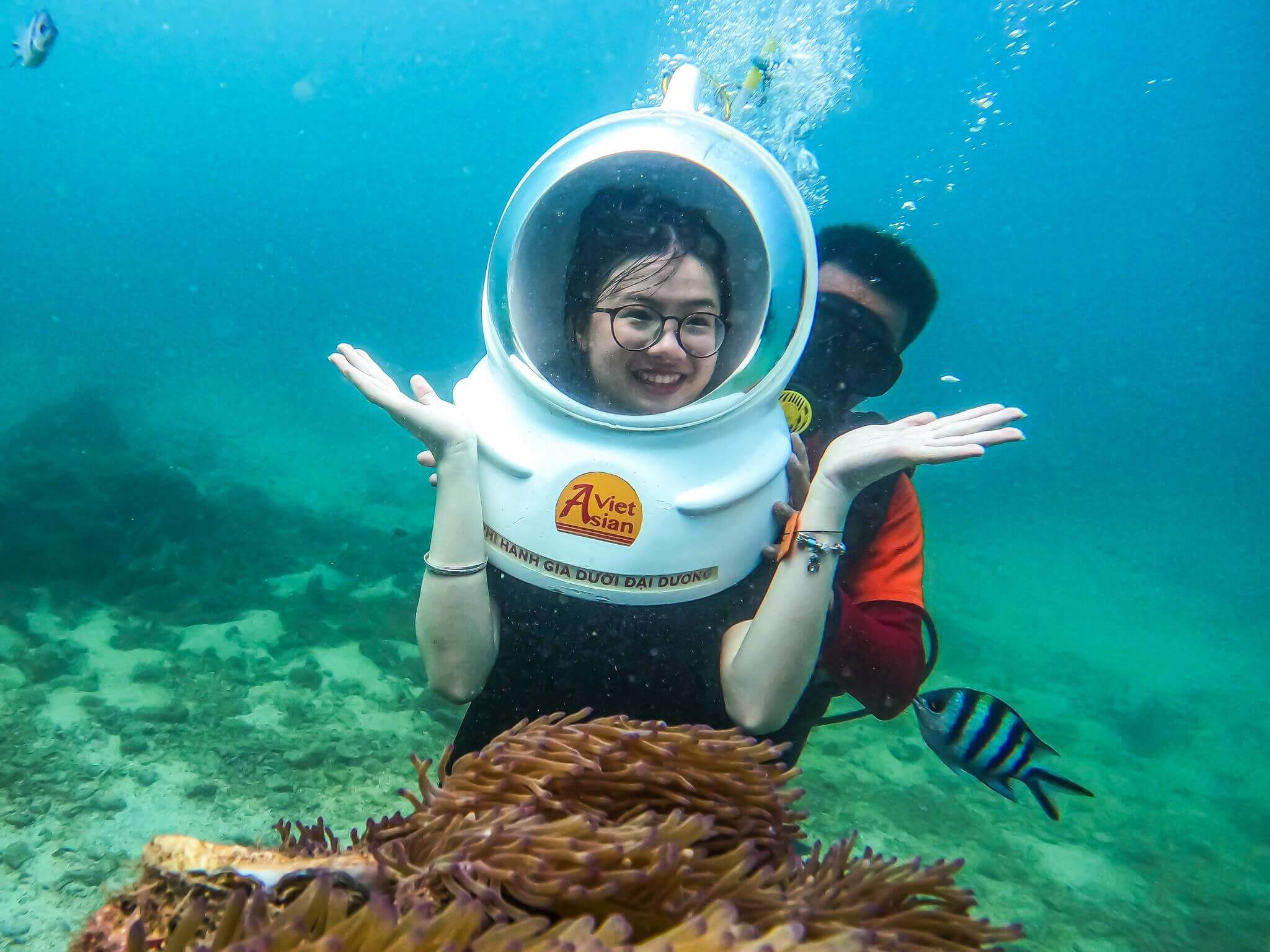 Lặn biển ngắm san hô khi đi tham quan Hang Yến Vĩnh Hy mang đến trải nghiệm thú vị