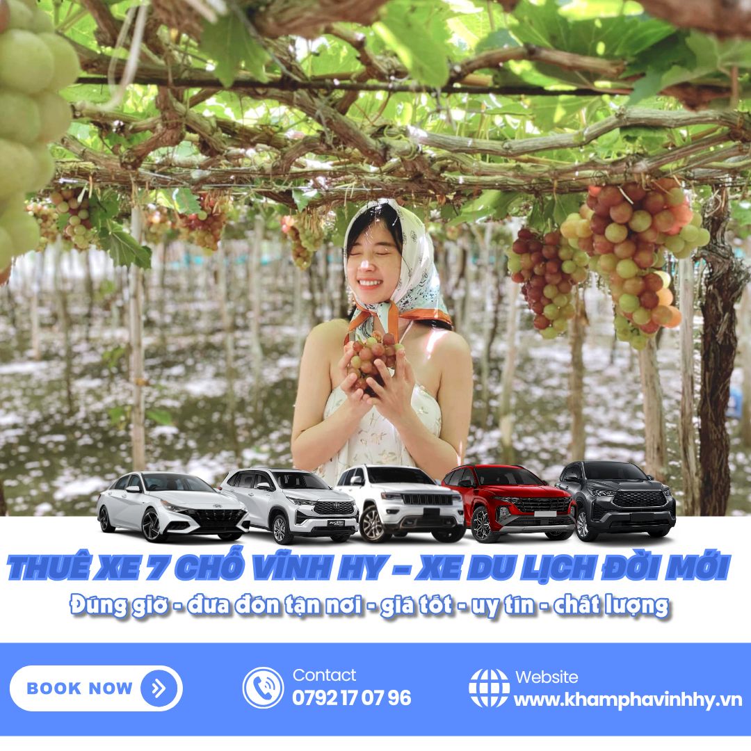Nếu đi theo nhóm gia đình nhỏ thì việc thuê xe 7 chỗ Vĩnh Hy đi tham quan tự túc rất tiện lợi