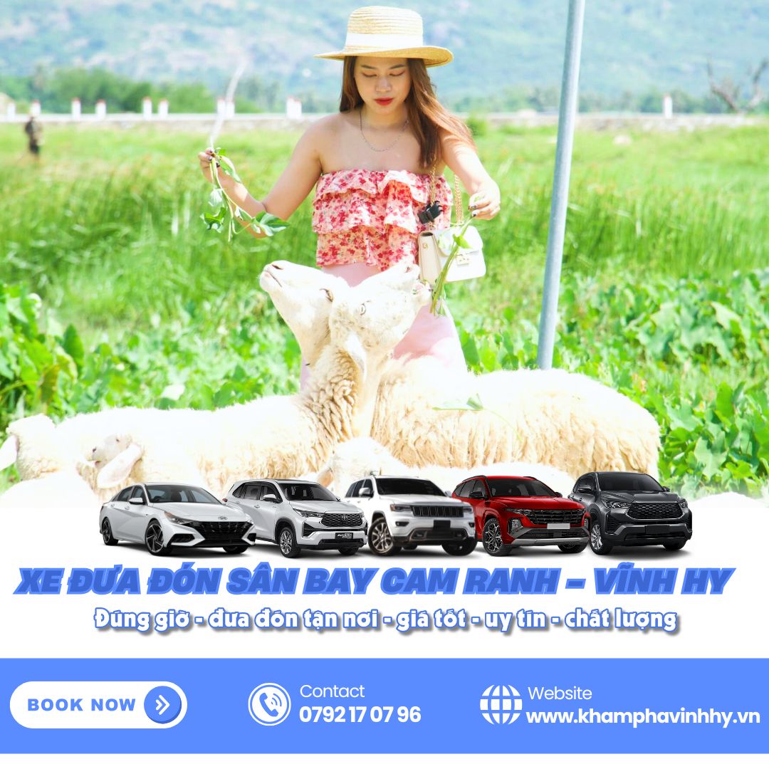Giá tốt và phụ vụ tận tâm là những gì bạn tìm thấy ở dịch vụ xe đưa đón sân bay Cam Ranh Vĩnh Hy